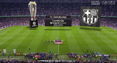 足球技术入门半个月见效的方法（半个月掌握足球基础的速成攻略）